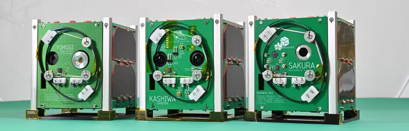 YOMOGI, KASHIWA and SAKURA