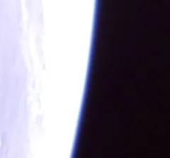 BOTAN CAM トウモロコシ が撮影した画像（2025-10-11）
