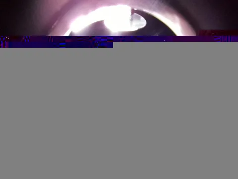 Image taken by KASHIWA CAM (2024-07-09)