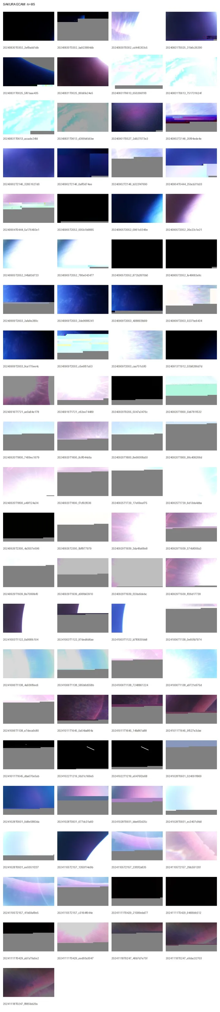 SAKURA image index (Earth CAM)