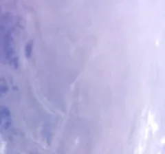 BOTAN CAM トウモロコシ が撮影した画像（2025-10-11）