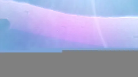 SAKURA Earth CAM が撮影した画像（2024-11-05）