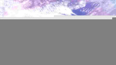BOTAN CAM トウモロコシ が撮影した画像（2025-10-11）