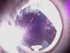 Image taken by KASHIWA CAM (2024-04-24)