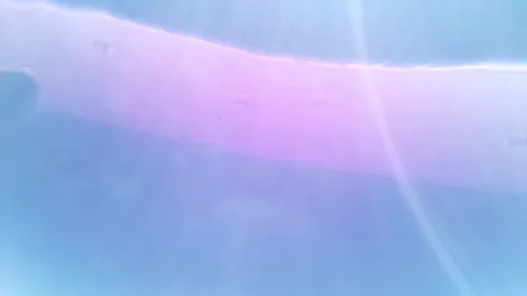 SAKURA Earth CAM が撮影した画像（2024-11-05）