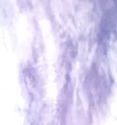 BOTAN CAM トウモロコシ が撮影した画像（2025-10-11）