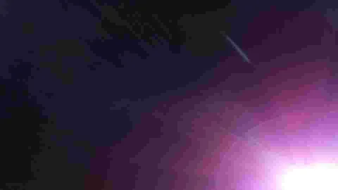 BOTAN CAM トウモロコシ が撮影した画像（2025-12-29）