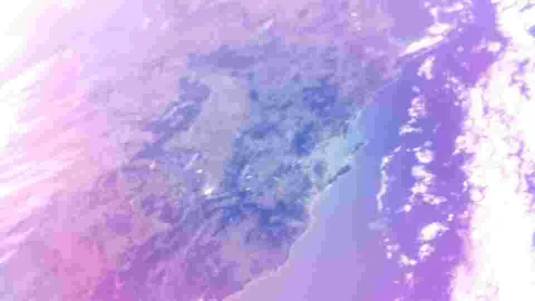 BOTAN CAM トウモロコシ が撮影した画像（2025-10-22）