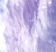 BOTAN CAM トウモロコシ が撮影した画像（2025-10-11）