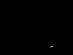 Image taken by KASHIWA CAM (2024-05-20)