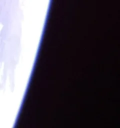 BOTAN CAM トウモロコシ が撮影した画像（2025-10-11）
