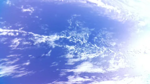 BOTAN CAM トウモロコシ が撮影した画像（2025-11-19）