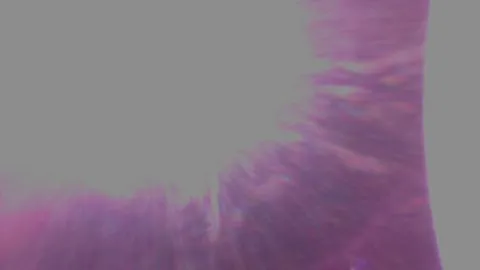 SAKURA Earth CAM が撮影した画像（2024-09-16）
