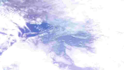 BOTAN CAM トウモロコシ が撮影した画像（2025-10-11）