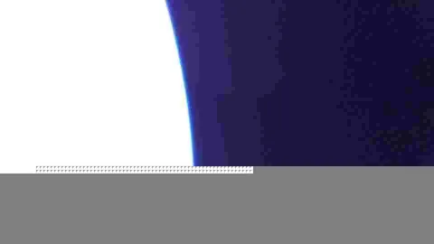 BOTAN CAM トウモロコシ が撮影した画像（2025-10-11）
