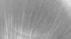 Image taken by YOMOGI CAM AFR (2025-01-22)