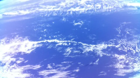 BOTAN CAM トウモロコシ が撮影した画像（2025-11-19）