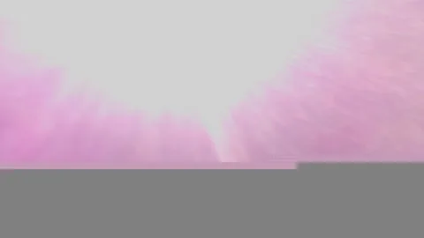 SAKURA Earth CAM が撮影した画像（2024-11-11）